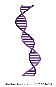 vertical dna chain science colorful icon