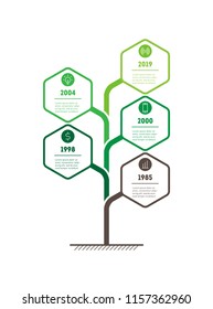 Vertical eco Business presentation concept with 5 options. Web Template of abstract tree, info chart or diagram. Vector infographic of technology or education process with 5 steps.
