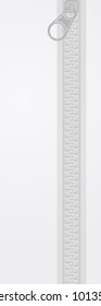 Vertical fashion background