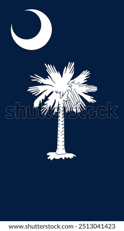 Vertical Flag of South Carolina, Vertical South Carolina Flag