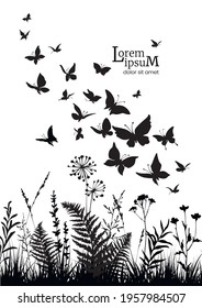 Vertical floral background with silhouettes of fern, herbs, flowers and butterflies. Spring or summer background. Vector illustration.