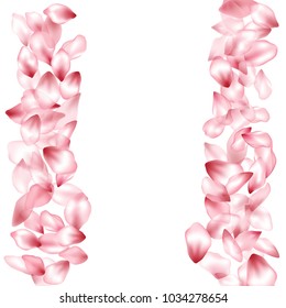 Vertical frame border of blossom flying petals isolated on white invitation background, flower parts wedding decorative frame. Pink blossom elements, flower petals valentines day background border.