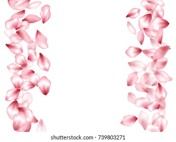 Vertical frame borders of blossom flying petals isolated on white invitation background, flower parts wedding decorative frame. Pink blossom elements, flower petals valentines day background border.