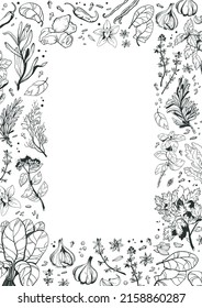 
Vertical frame for the menu. Herbs and spices hand drawn. Linear graceful illustration for your design. A set of herbs for cooking delicious dishes.