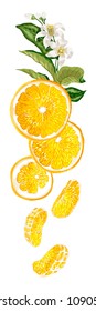 Vertical fruit decor line with orange fruit halves, leaves, flowers and sllices  made in realistic graphic design vector drawing on white background