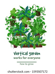 Vertical garden growing flat vector. House plants in pots on wall illustration with typography. Greenery and landscaping poster design