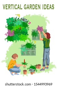 Vertical garden at home with house plants. Women are planting pot plants on a green wall.