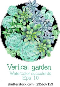 Vertical garden. Succulents in round pot. Vector illustration