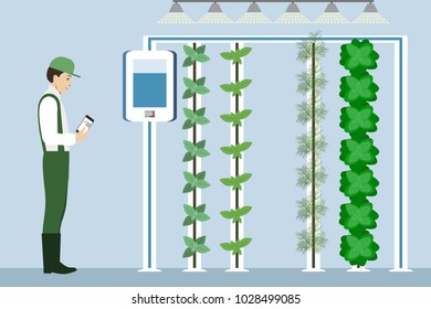 Vertical greenhouse gardens. Growing micro greens.  Smart farm with wireless control. Vector illustration.