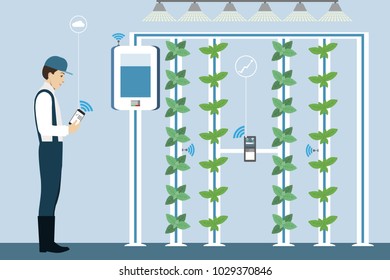 Vertical greenhouse gardens. Growing micro greens.  Smart farm with wireless control. Vector illustration.