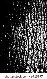 Vertical Grunge Bark Texture