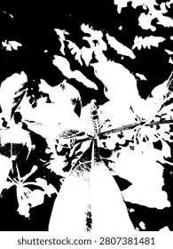 Vertical high contrast black and white vector illustration of a caterpillar on a leaf. Silhouette stencil graphic of a furry caterpillar insect on organic foliage background for nature concept.