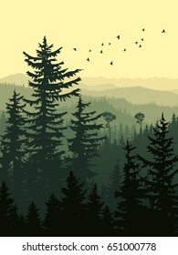 Vertical Illustration Of Forest With Green Coniferous Trees (sequoia) And Birds.