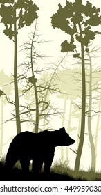 Vertical illustration of grassy hillside and coniferous wood with bear.
