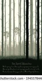 Vertical illustration with view from pine trunks woods and grassy coniferous forest and place for text.