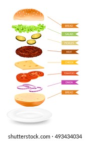 Vertical image of hamburger on plate separated into isolated colorful layers of ingredients with editable captions vector illustration