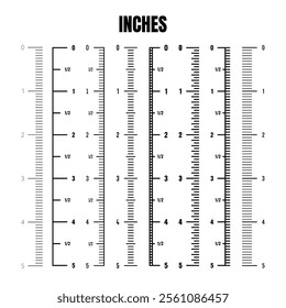 Vertical inch scale for measuring length or height. Various measurement scales with divisions. Ruler, tape measure marks, size indicators. Vector illustration