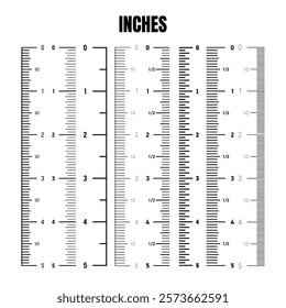 Vertical inch scale for measuring length or height. Various measurement scales with divisions. Ruler, tape measure marks, size indicators. Vector illustration