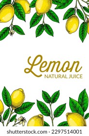 Vertical lemon background. Hand drawn colorful vector illustration in sketch stile. Design for packaging, invitation, greeting cards