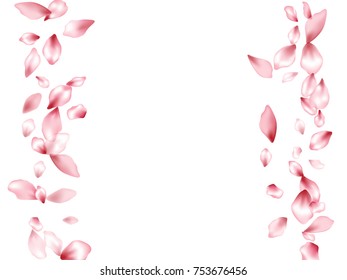 Vertical lines border of blossom flying petals isolated on white invitation background, flower parts wedding decorative frame. Pink blossom elements, flower petals valentines day background border.