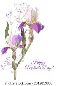 Vertical Mother's Day card with irises, daffodils (narcissus): blue, purple flowers, gypsophile twig, white background. Templates for design, vintage botanical illustration in watercolor style, vector