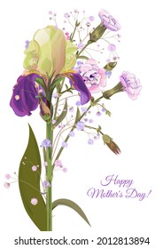 Vertical Mother's Day card with irises, daffodils (narcissus): blue, purple flowers, gypsophile twig, white background. Templates for design, vintage botanical illustration in watercolor style, vector