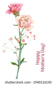 Vertical Mother's Day, Victory Day card with carnation: red, pink, flowers, twigs gypsophile, white background. Templates for design, vintage botanical illustration in watercolor style, vector