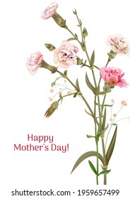 Vertical Mother's Day, Victory Day card with carnation: red, pink, flowers, twigs gypsophile, white background. Templates for design, vintage botanical illustration in watercolor style, vector