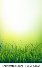 Vertical natural background of fresh green grass close-up. Grass blades under sunlight. Vector illustration