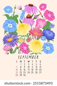 Vertical page calendar for September 2025 with cute autumn aster and morning glory, coneflower flowers and leaves. Week starts on Sunday. Vector illustration flat style