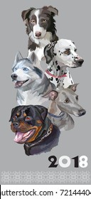 Vertical postcard with dogs of different breeds (Rottweiler; border collie; Italian Greyhound; Dalmatian, siberian husky)on grey background. 2018 year of dog. 