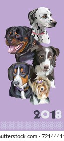 Vertical postcard with dogs of different breeds (Rottweiler; border collie; Dalmatian; Biewer terrier, Entlebucher Mountain Dog) on purple background. 2018 year of dog. 