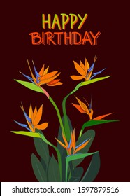 Vertical postcard happy birthday with bouquet of flowers Strelitzia reginae tropical south africa flower isolated on white background.Vector illustration.Plant known as crane flower, bird of paradise.