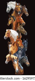 Vertical postcard with horses. Colorful vector realistic portraits of horses. Big group of horses isolated on black background. Vector colorful illustration of horses for postcards, design and posters