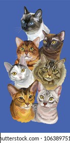 Vertical postcard with portraits of cats breeds Bengal, Burmese, Egyptian Mau, Maine Coon, mongrel cat, Thai cats isolated on blue background. Vector colorful illustration