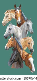 Vertical postcard with portraits of horses breeds (Trakehner horse, Welsh Pony, Orlov Trotter, Arabian horse, Appaloosa horse) isolated on green background. Vector colorful illustration.