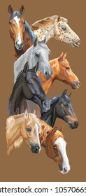 Vertical postcard with portraits of horses breeds (Trakehner horse, Welsh Pony, Orlov Trotter, Arabian horse, Appaloosa horse) isolated on brown background. Vector colorful illustration.