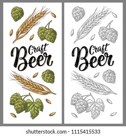Vertical poster with ears of barley, leaves and cones of hops. Craft Beer handwriting calligraphic lettering. Vector vintage color engraving illustration. Isolated on white background.