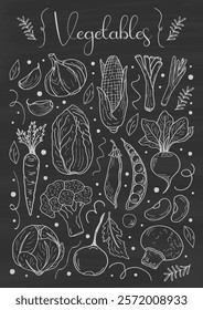 Vertical poster of vegetables and herbs on a chalkboard. Vector poster in doodle style. Kitchen design design, cafe menu. Retro culinary poster.