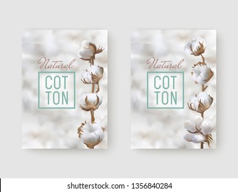 Vertical posters with photo realistic cotton branch on a light cotton balls background and text Natural Cotton with frame. Perfect for business labels, price textile