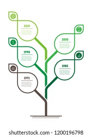 Vertical presentation concept for eco Business with 5 options. Web Template of abstract tree with leaves, info chart or diagram. Vector infographic of technology or education process with 5 points.