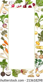 Vertical rectangular banner with carrot, Beetroot, Celery, Parsley, Daikon, Parsnip, Rutabaga, Turnip, Yellow turnip, Arracacha, Maca, and Red, Black, Chinese radish. Template. Vector illustration