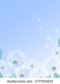 Vertical rectangular template with white dandelions on the bottom edge. Frame for text or photo with a summer floral border on a gradient background.