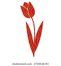 vertical red tulip flower with detailed textured petals and long green leaves