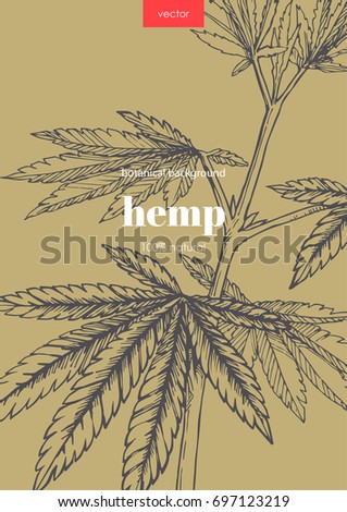 Vertical retro floral background with cannabis leaves. Vector botanical hand drawn illustration with hemp branch in sketch style. 