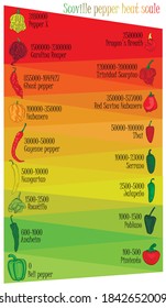 Vertical Scoville Pepper Heat Scale Infographic with SHU Units