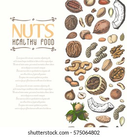 Vertical seamless background with colored nuts and seeds. Vector illustration for your design