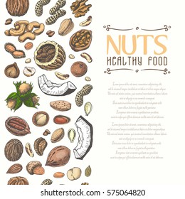 Vertical seamless background with colored nuts and seeds. Vector illustration for your design