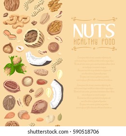 Vertical seamless background with colored nuts and seeds. Vector illustration for your design