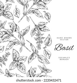 Vertical seamless border with hand drawn basil leaves and flowers sketch style, vector illustration on white background. Black outline decorative design, natural herb